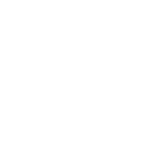 [529ff3] rock