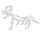 [7b517d] Archie skeleton