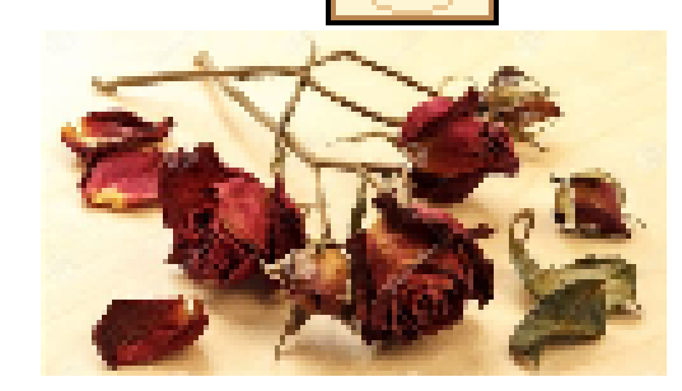 [823275] roses
