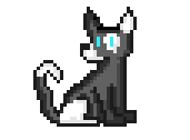 [9664c4] Dog AdoptSilvBlu