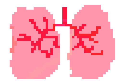 [401978] pixel lung