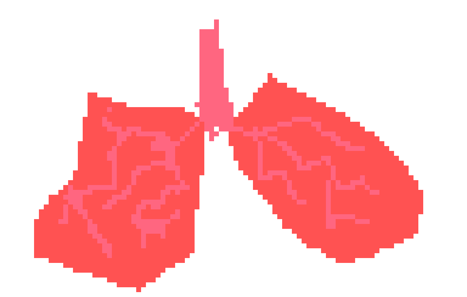 [401978] pixel lungs
