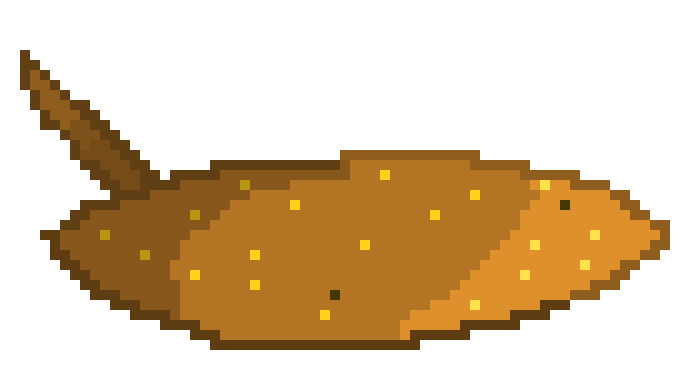 [9664c4] stinay