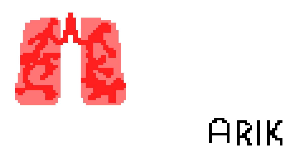 [2b4978] Pixel Lungs