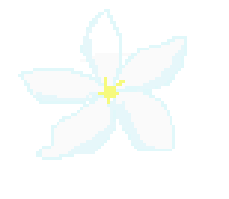 [d080d2] flower