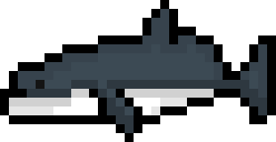 [9664c4] shark