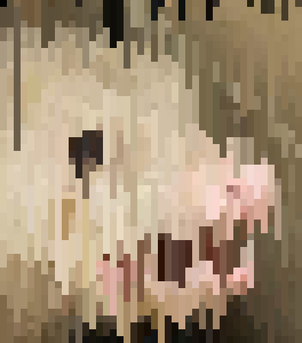[990543] Ohhhh nooooo