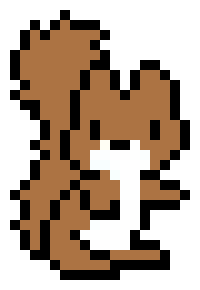 [55d714] squirrel