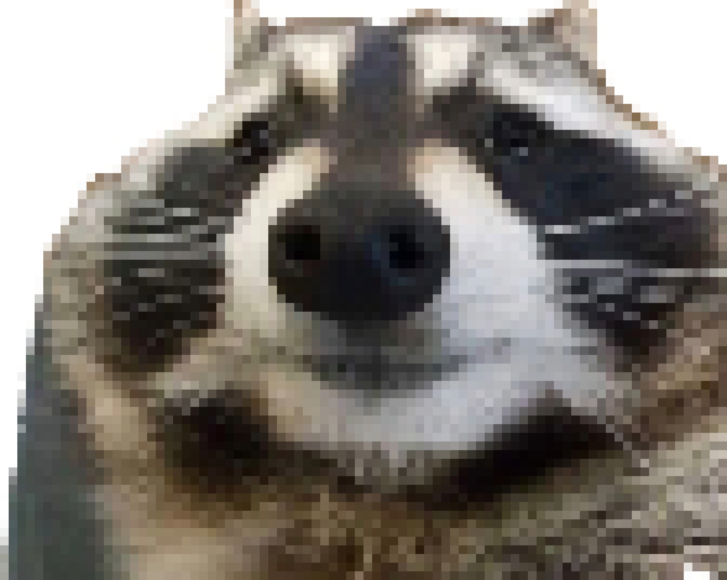 [0e3ed5] racoon