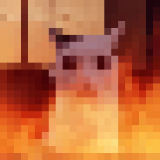 [319b35] what the fuck