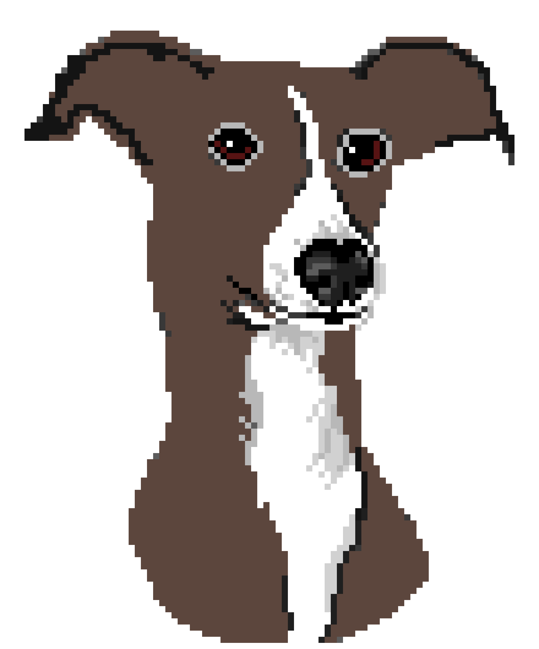 [bb0905] Greyhound