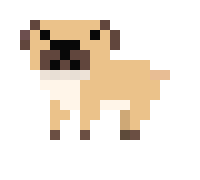 [c50e81] pug