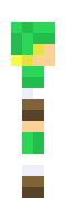 [0ef5cd] link walking right