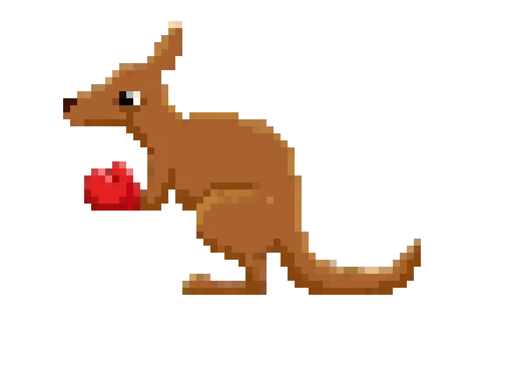[1aa056] Boxing Kangaroo