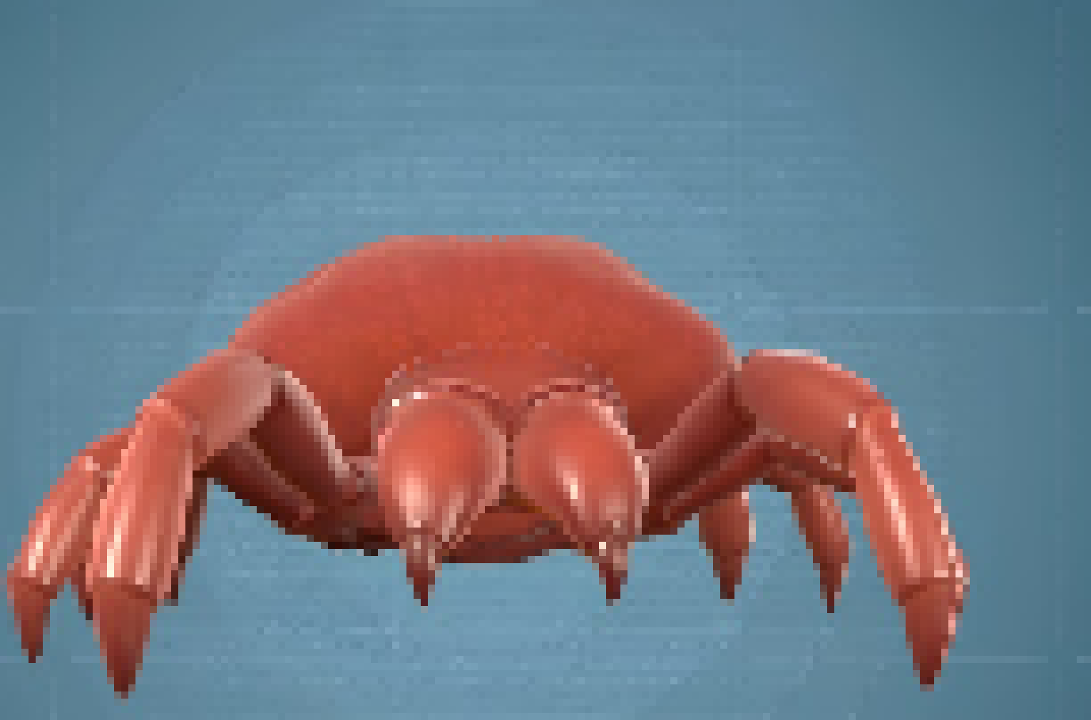 [224a35] fucking lawn mite