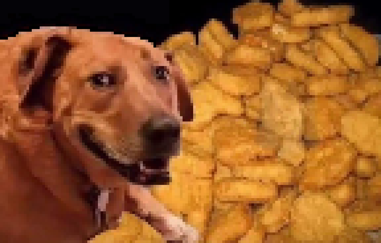 [46bd03] (nuggets.)