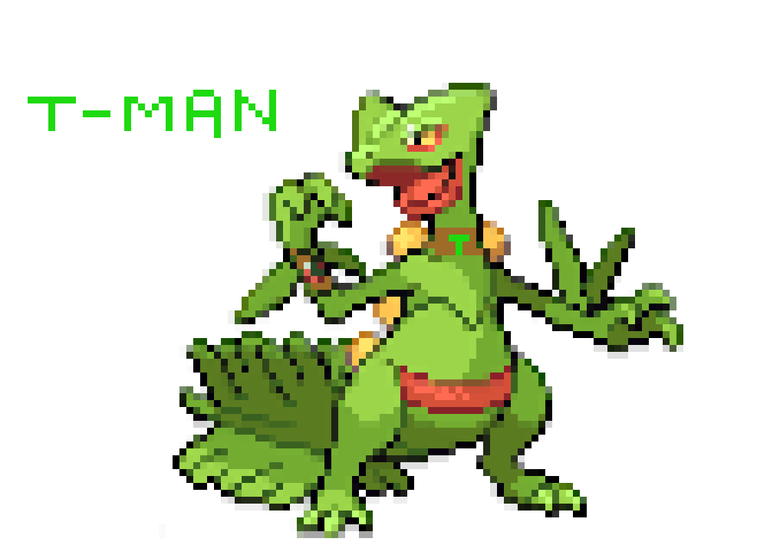 [f8d4d8] t man the sceptile with mega stone on right wrist