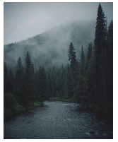 [3157f9] Untitled