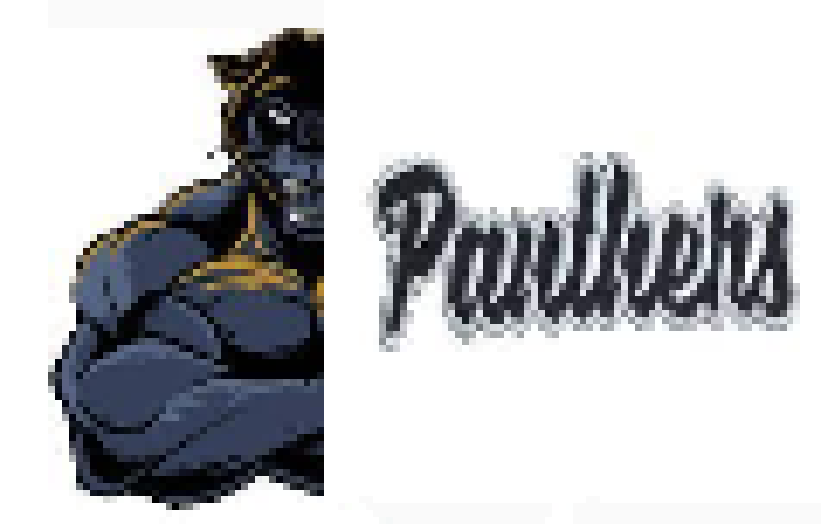 [ab1901] Panthers logo #1