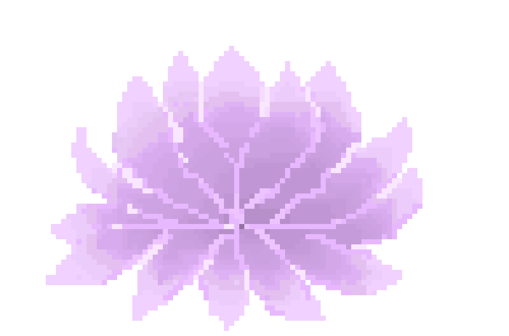 [9664c4] lILLY