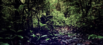 [f51b9d] rain