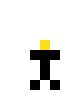 pedro minimalista