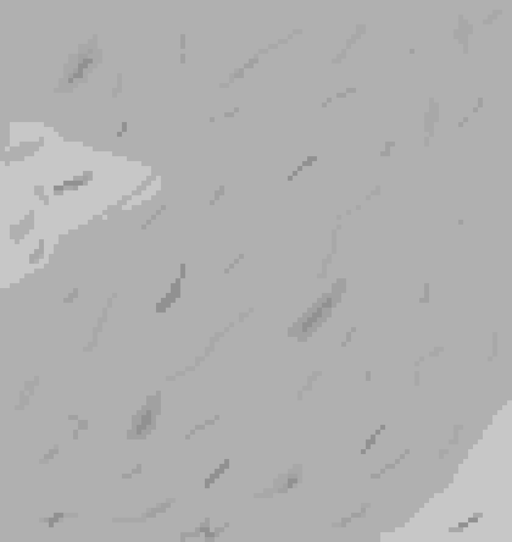 [9664c4] floor