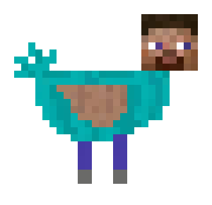 steve as a bird