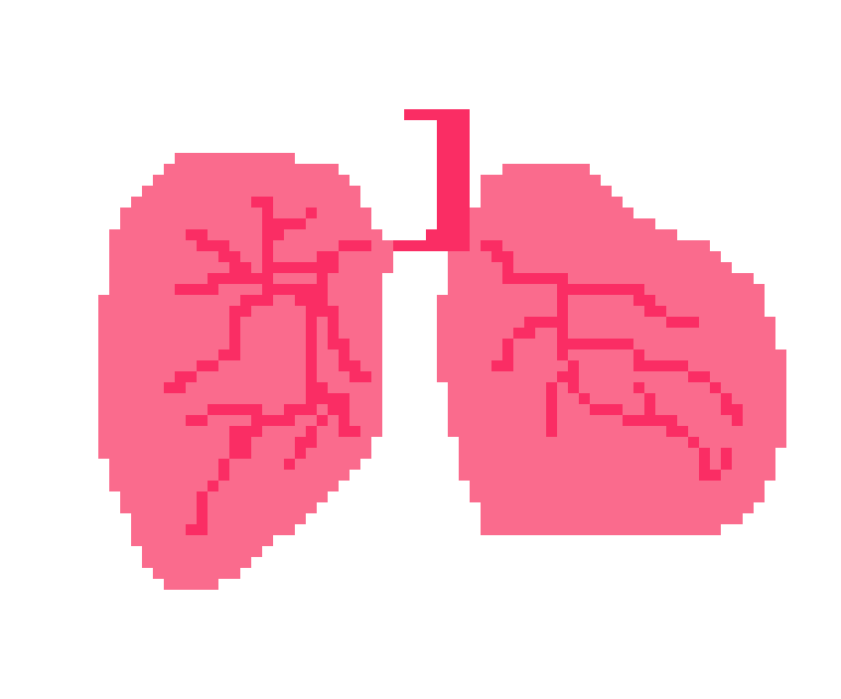 [b189de] pixel lung