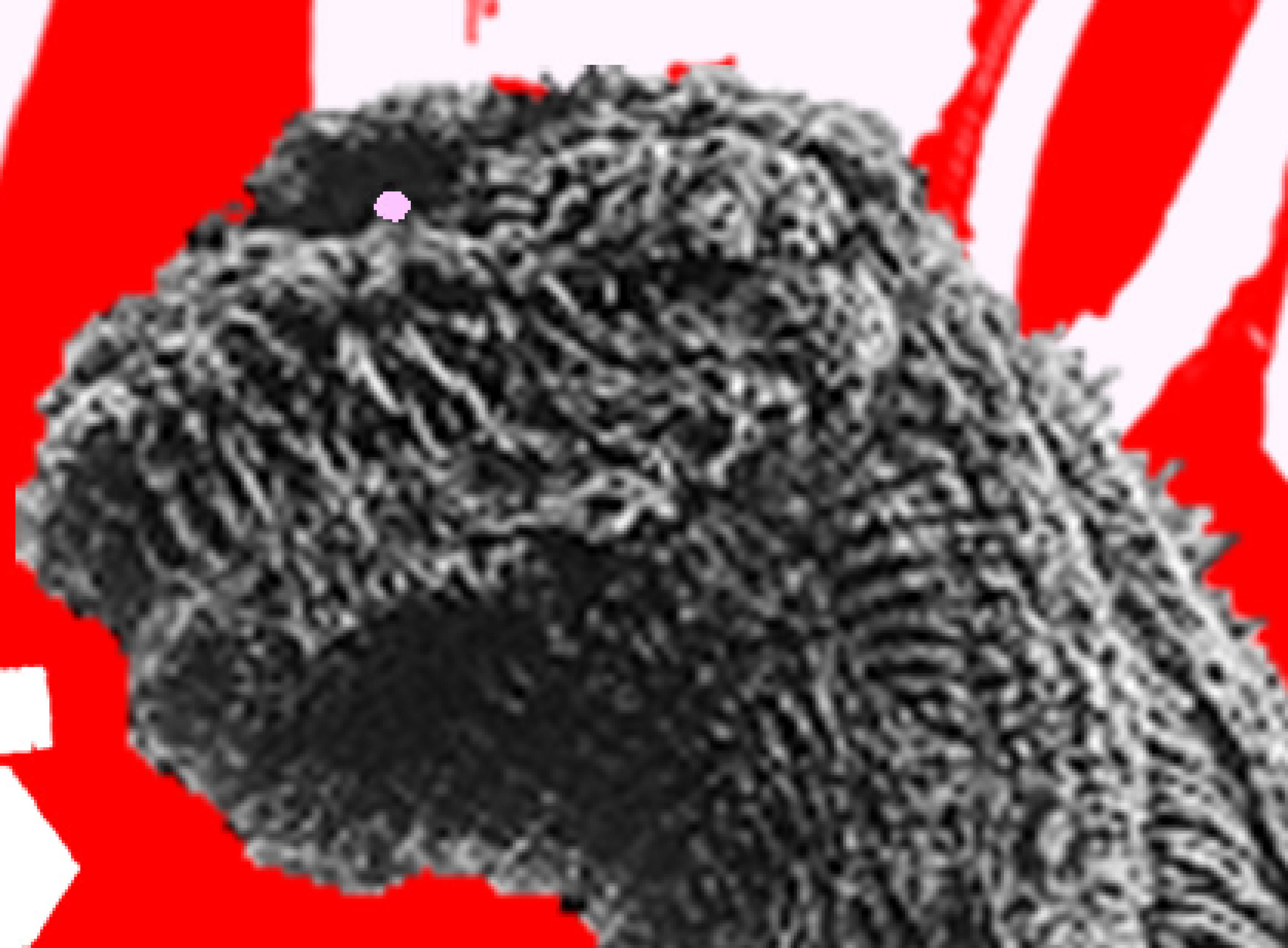 [1b9e65] JESUS CHRIST THE POSTER IS BI G