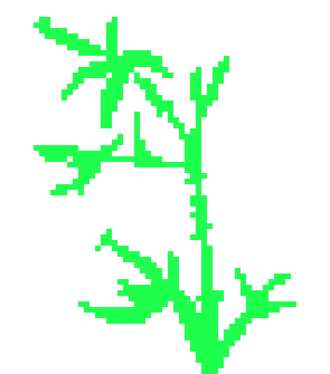 [9664c4] bamboo2