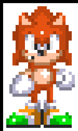Lex the Hedgie