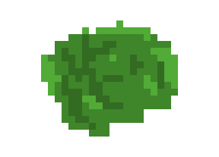 Tree top