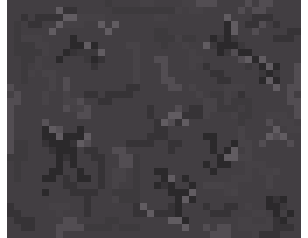 Concrete RPG