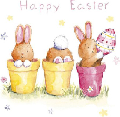 [cc5d57] Easter_11