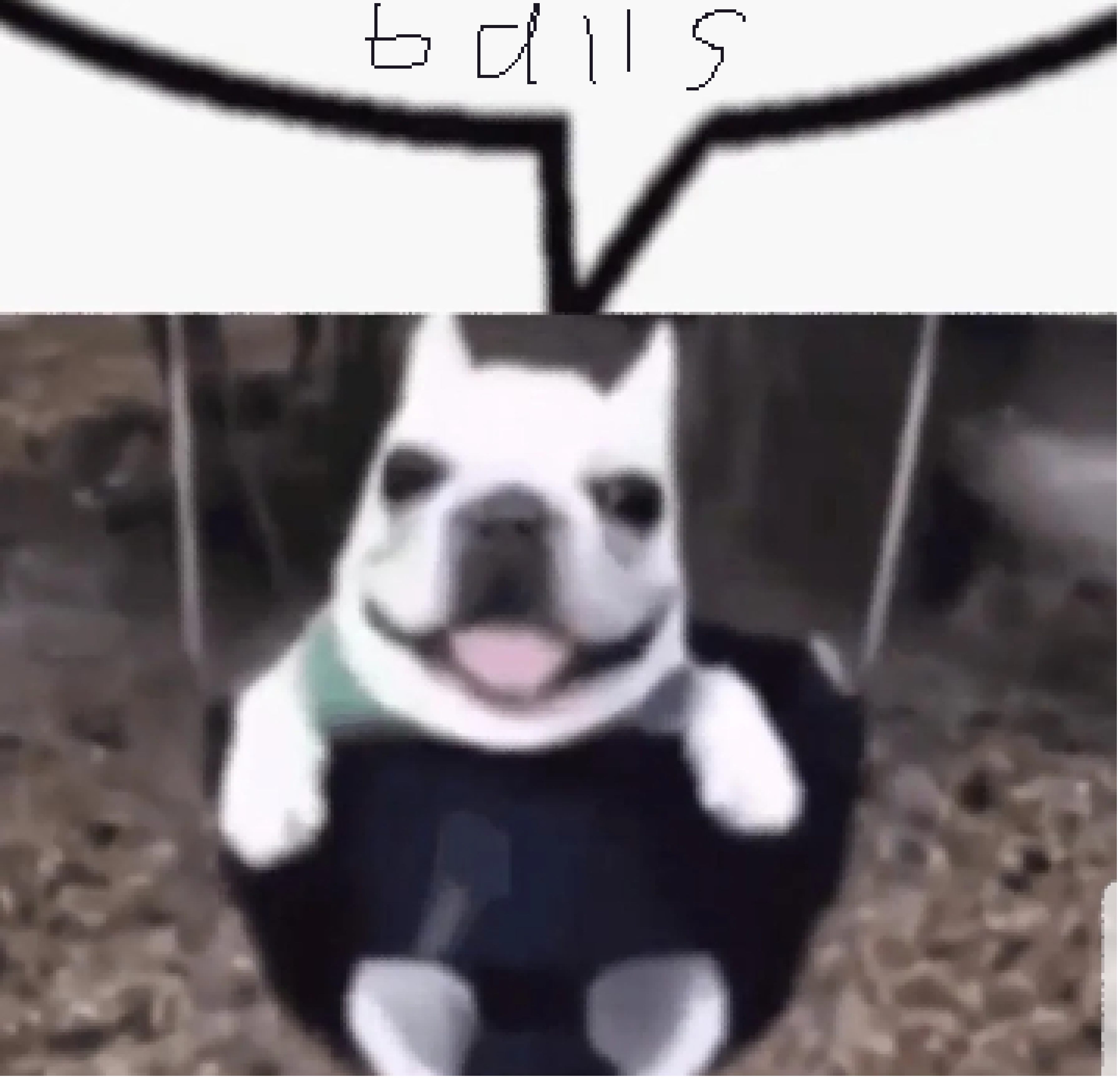 [8469dc] balls