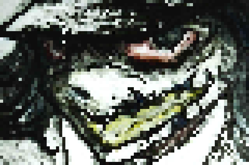 [4b4868] "that's for me to decide I am currently traveling dimensions I originally came here to kill my rival hollett I killed him with whipping him with his own spine" *stopped handshaking*. . . . . . . . . . ... -[[Landa.collins]]-.......[-Hollett]