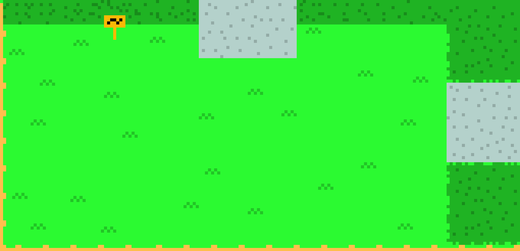 Sapling Street