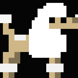 [9664c4] poodle