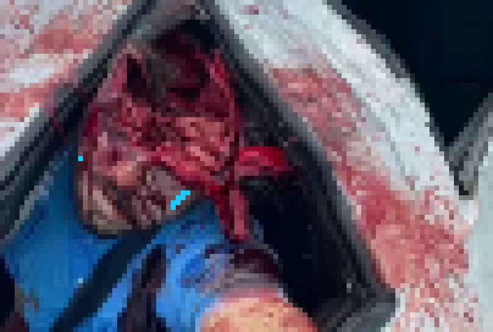 [2d6619] i seriously need new stuff 00ohpgu;iy okay i m doen bye yall