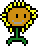 [9664c4] Sunnflower