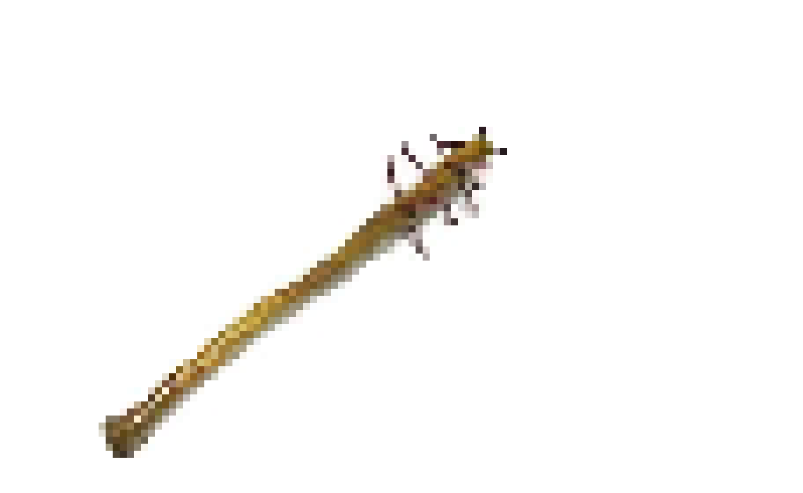 [71db5a] Steven Bat