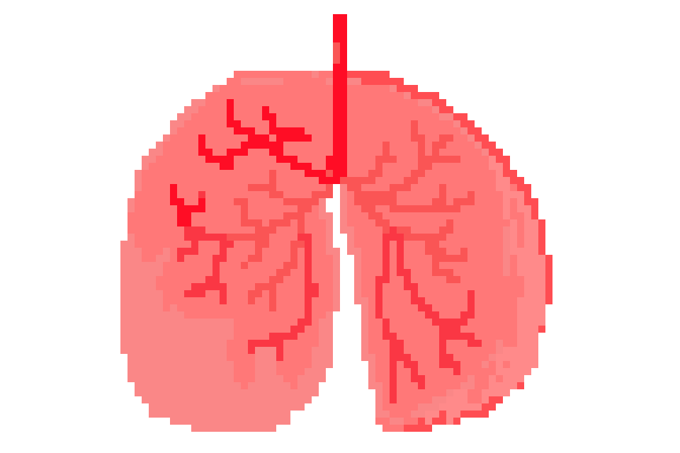 [401978] LUNG Pixel drawing