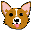 [9664c4] corgi