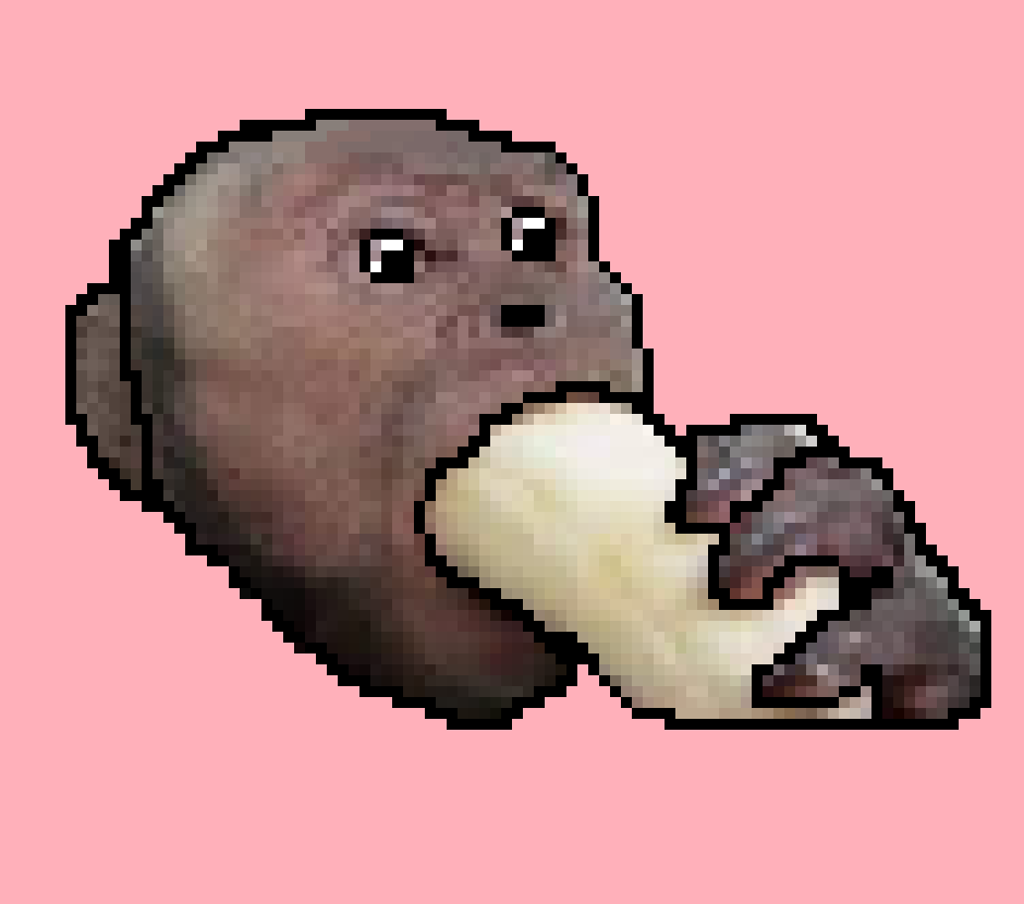 [beb555] mims' monkey