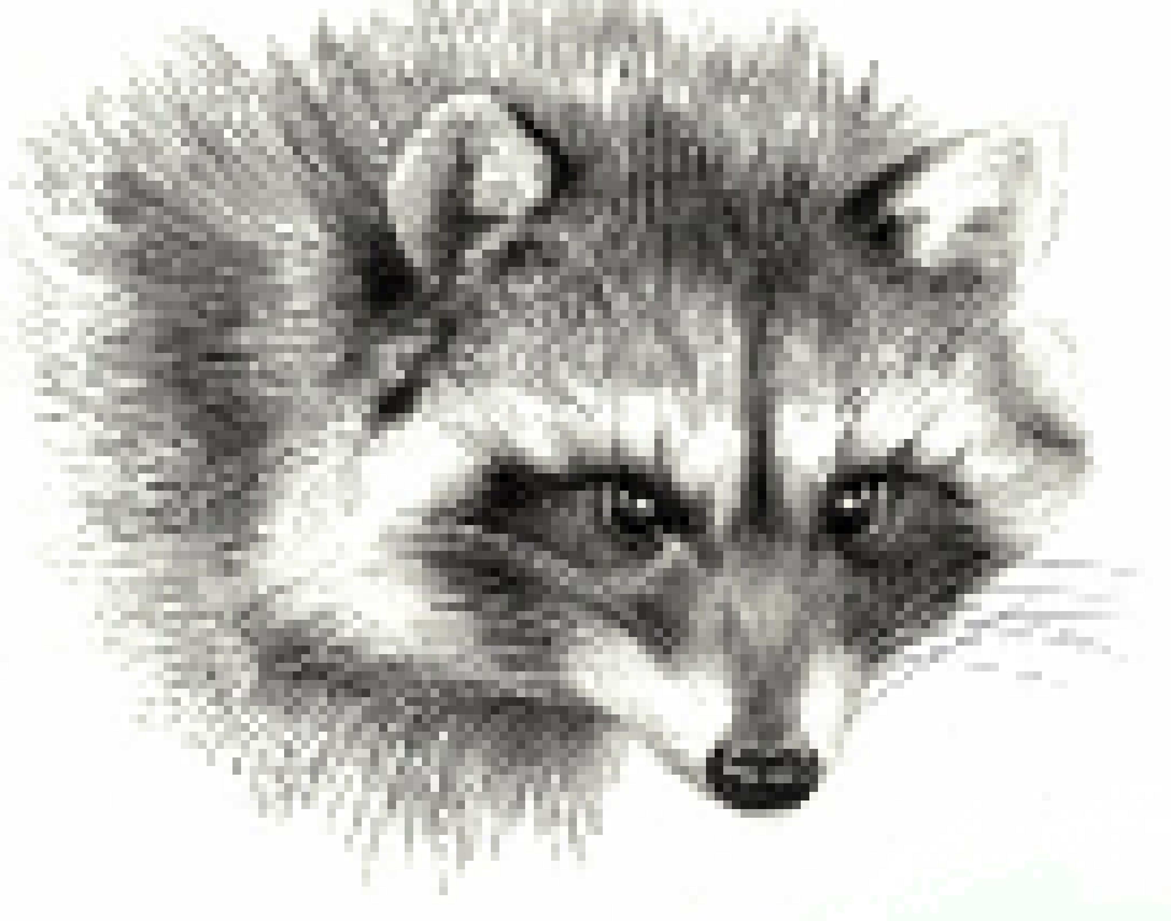 [3fdffb] R