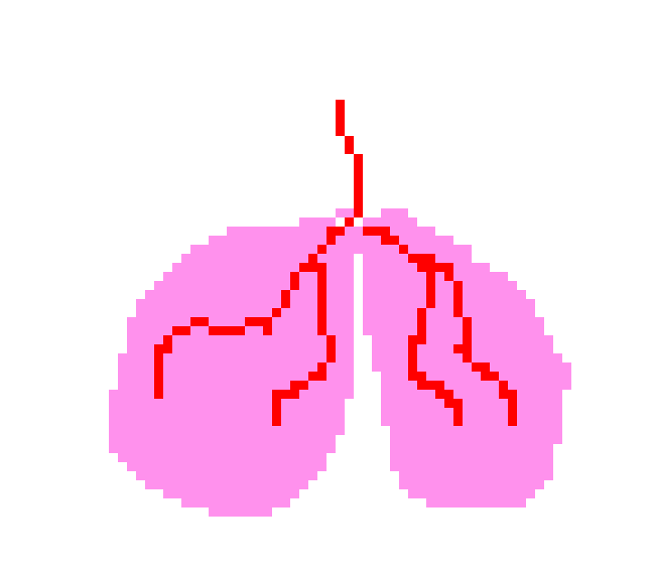 [401978] PIXEL LUNG