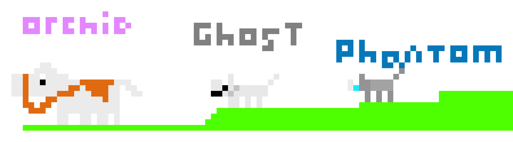 [9664c4] Orchid, Ghost & Phantom