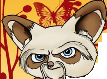 [29f6de] shifu