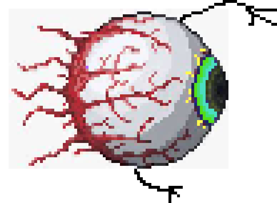 Guys look at my terraria oc